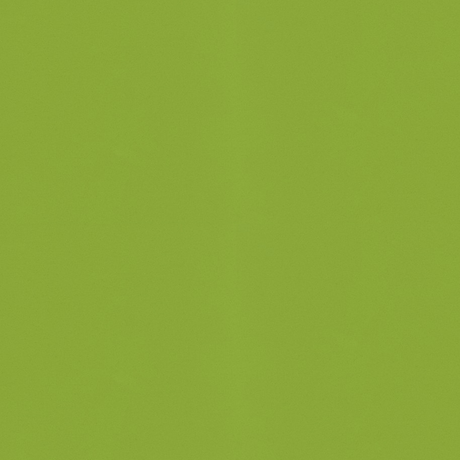 VERDE FUN